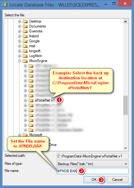 Locate Database Files Window