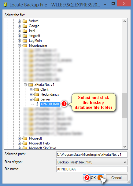 Locate Backup File Window