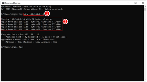 Command Prompt Showing the Ping Received from the IP Address