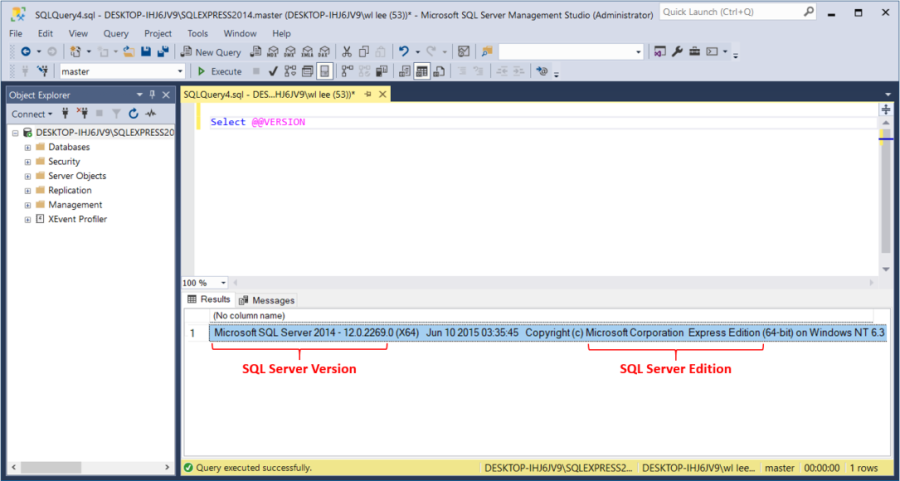 Information about the Installed SQL Instance Shown in the Results Panel