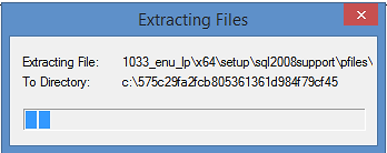 Extracting Files Window