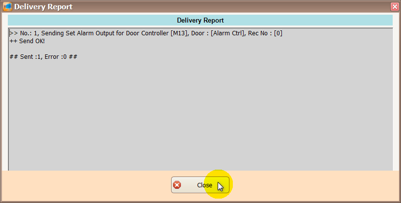 Delivery Report Window