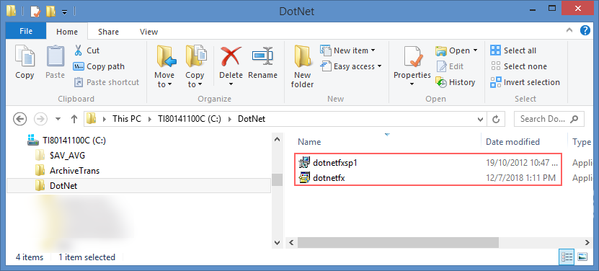 DotNet Folder in C Drive
