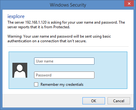 Windows Security Window
