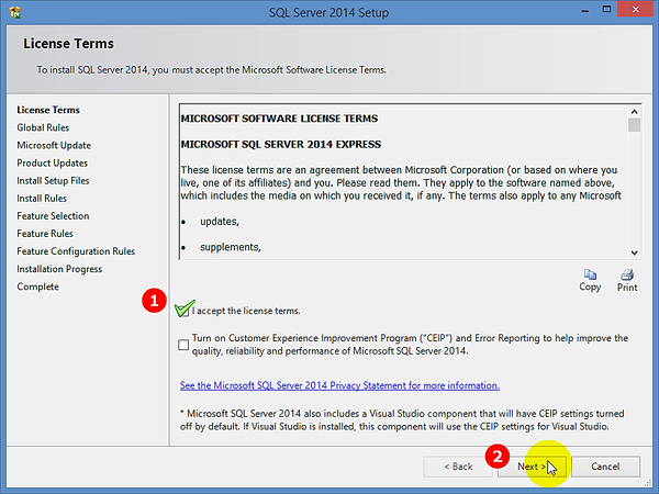 License Terms Window