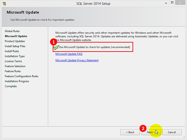 Microsoft Update Window